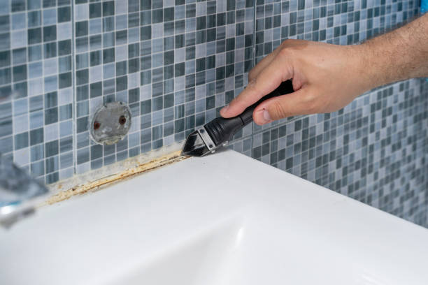 Trusted Blandon, PA Mold Removal Experts